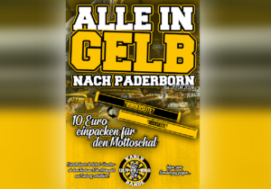 Mehr über den Artikel erfahren Paderborn Auswärts: Alle in Gelb + Mottoschals!